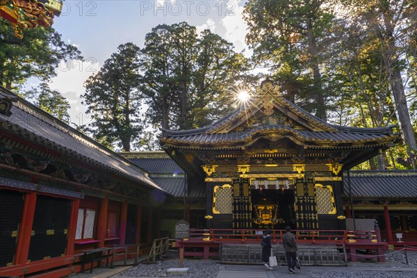 Magnificent Tosho-gu Shrine from the 17th century