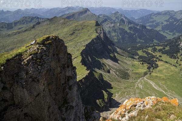 View from Mount Hoher Ifen