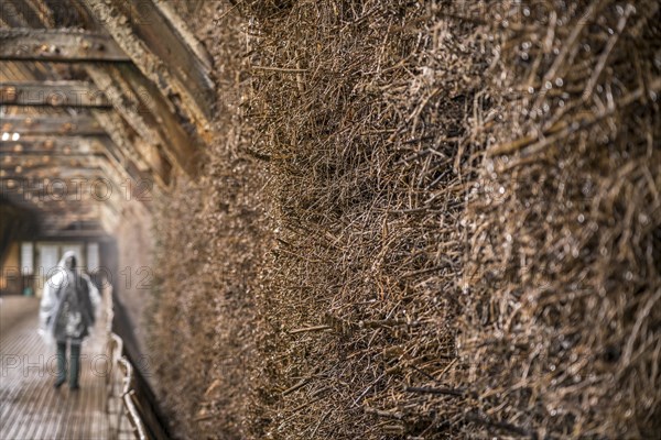 Brushwood bundles in the graduation house