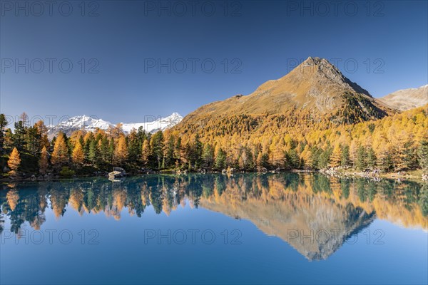 Autumn larch forest reflected in Lago di Saoseao