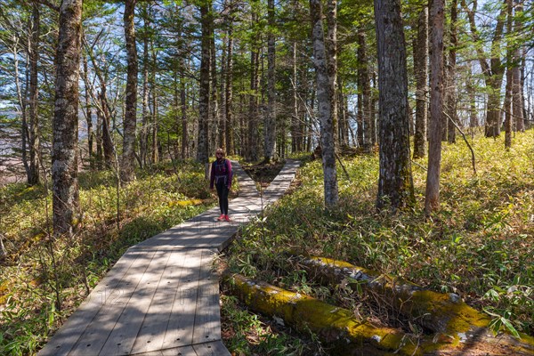 Woman on hiking trail through bamboo