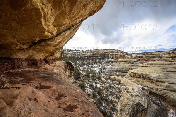 Bick into Deer Canyon near Sipapu Bridge