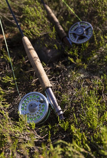 Two fly rods lying on the forest floor