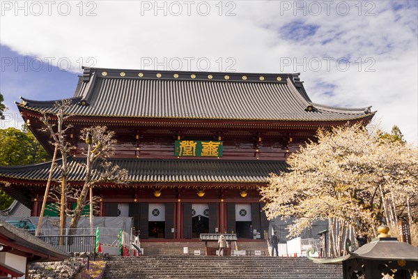 Nikkozan Rinnoji Temple