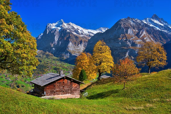 Mountain hut above Grindelwald