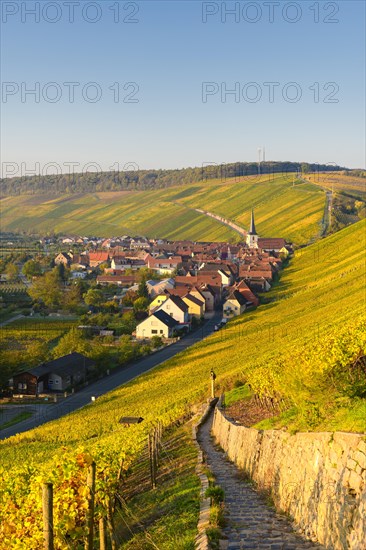 Escherndorf am Main near Volkach