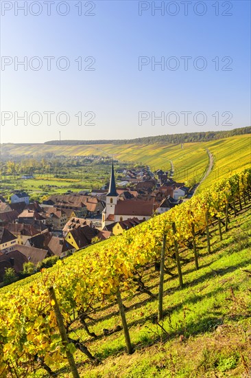 Escherndorf near Volkach