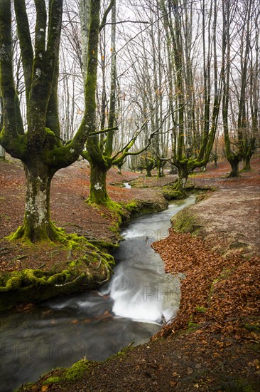 Gorbea Natural Park