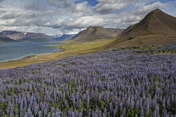 View of fjord landscape