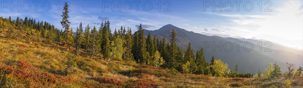 Autumnal mountain landscape with dwarf shrubs