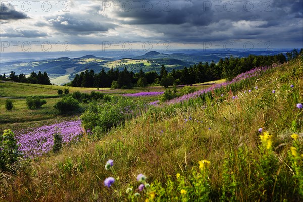 View from the Wasserkuppe to the hilly landscape at sunset