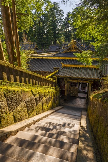 Tosho-gu Shrine from the 17th century