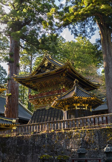 Magnificent Tosho-gu Shrine from the 17th century