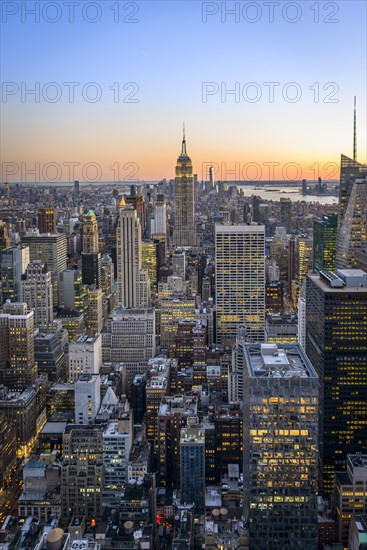 View of Midtown and Downtown Manhattan