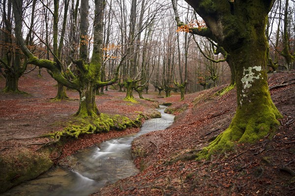 Gorbea Natural Park