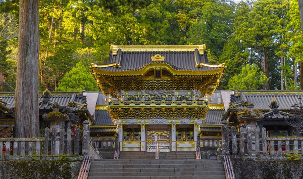 Magnificent Tosho-gu Shrine from the 17th century