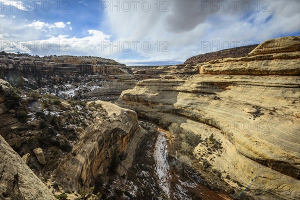 Bick into Deer Canyon near Sipapu Bridge