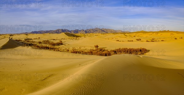 Sand dunes of Elsen Tasarkhai