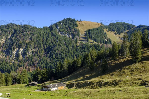 Raineralm under the Brecherspitze