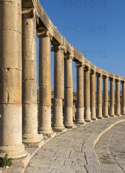 Columns at Oval Plaza