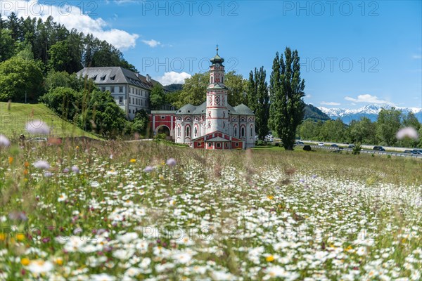 Flower meadow in front of the monastery St. Karl