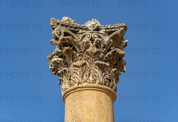 Corinthian Column