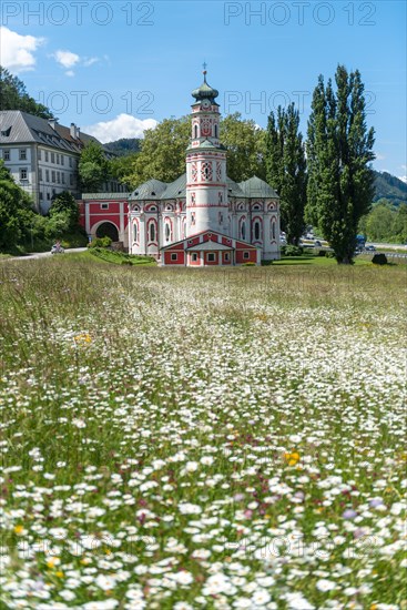 Flower meadow in front of the monastery St. Karl