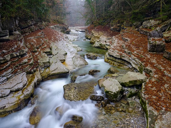 Taugl mountain creek