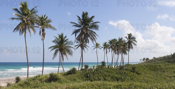 Playas de Este