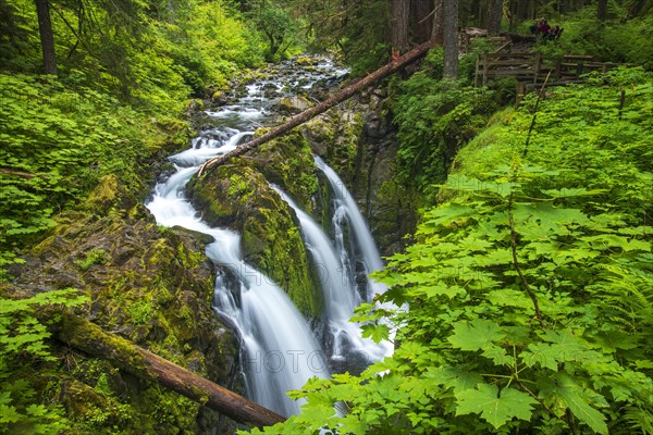 Sol Duc Falls