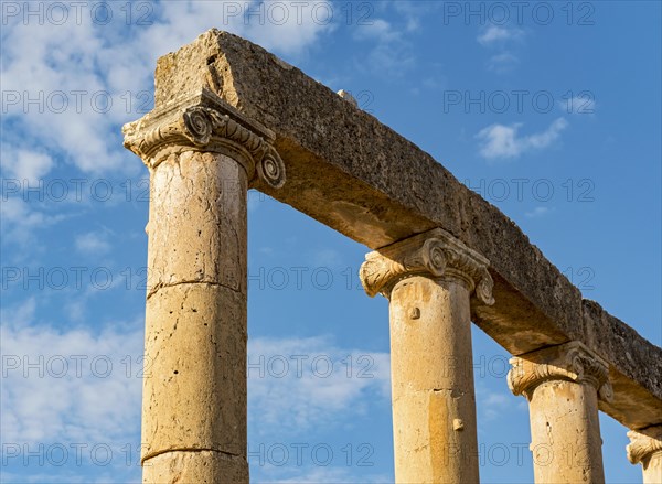 Close-up of columns and capitals at Oval Plaza