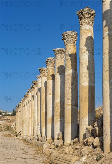 South Decumanus colonnade