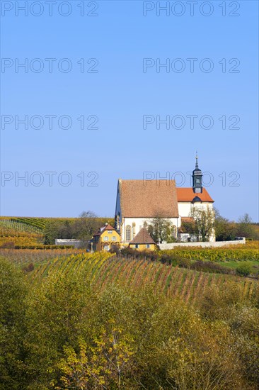 Pilgrimage church Maria im Weingarten