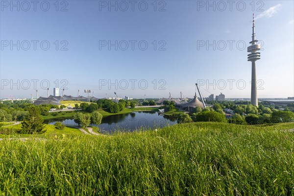 Olympic grounds