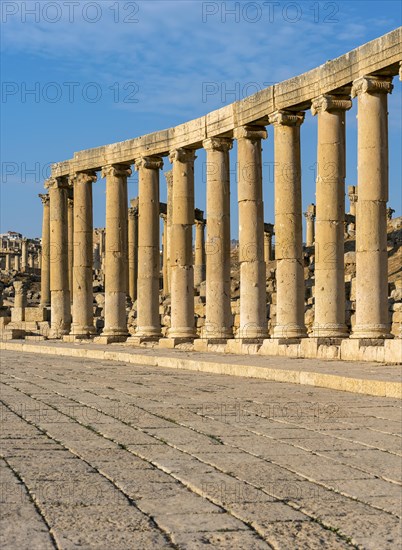 Ionic Columns at Oval Plaza