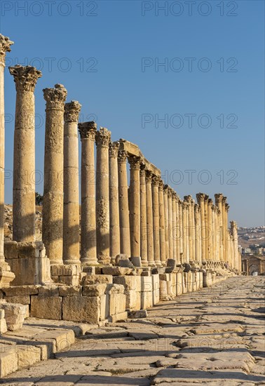 Columns of Cardo Maximus street