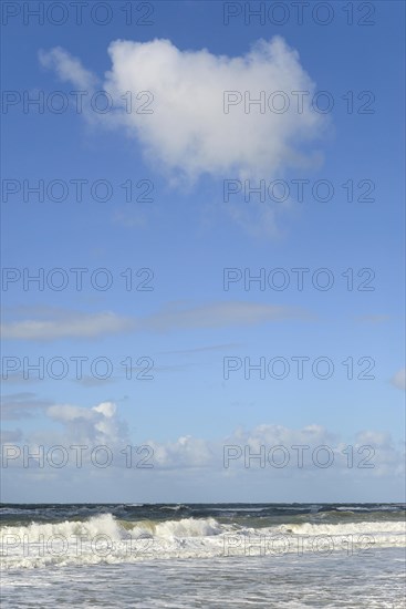 Waves on the sandy beach