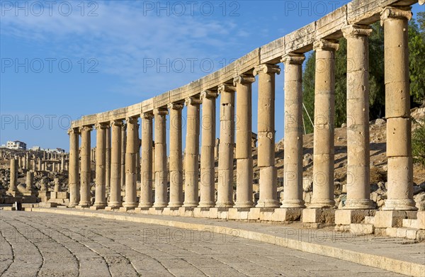 Ionic Columns at Oval Plaza