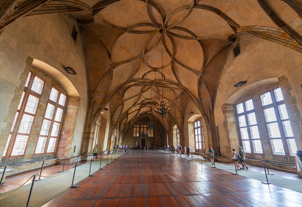 Medieval hall with ribbed vault
