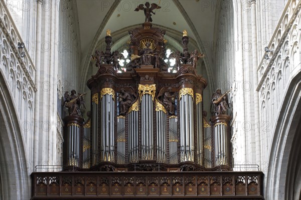 Schyven organ