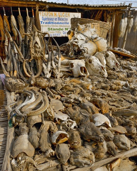 Sale of dead animals and animal heads