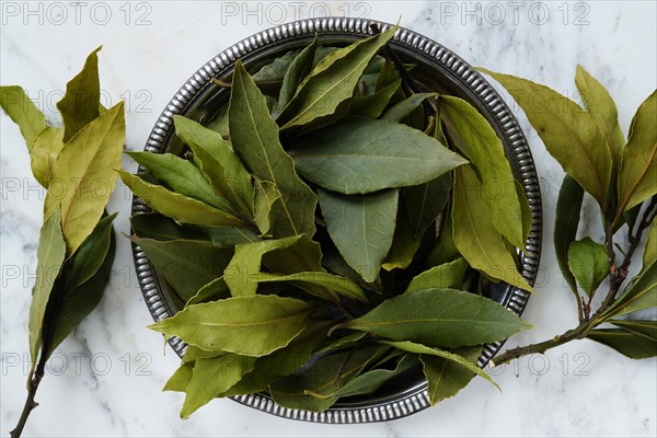 Bay leaves