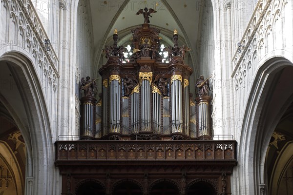 Schyven organ