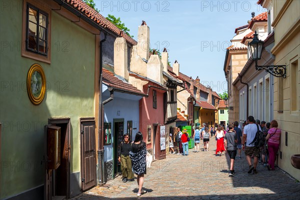 Golden Lane