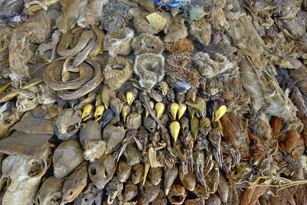 Sale of dead animals and animal heads