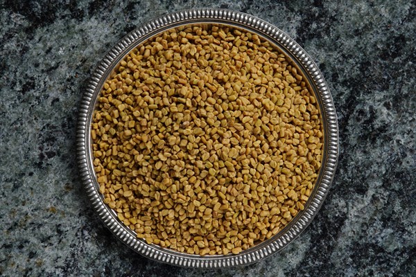 Fenugreek