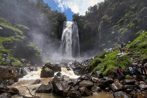 Thomson's Falls