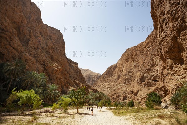 Wadi Shab