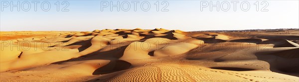 Lane in the sand