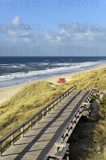 Boarded footpath leads through the dunes